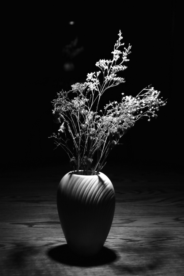 2013 01 28 IMG 2798ebw